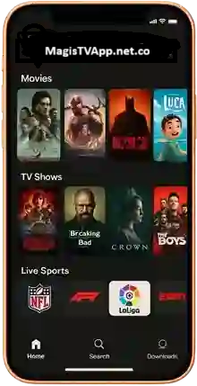 Transmisión-bajo-demanda